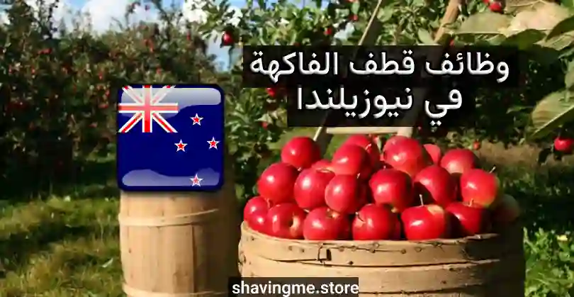 وظائف قطف الفاكهة في نيوزيلندا